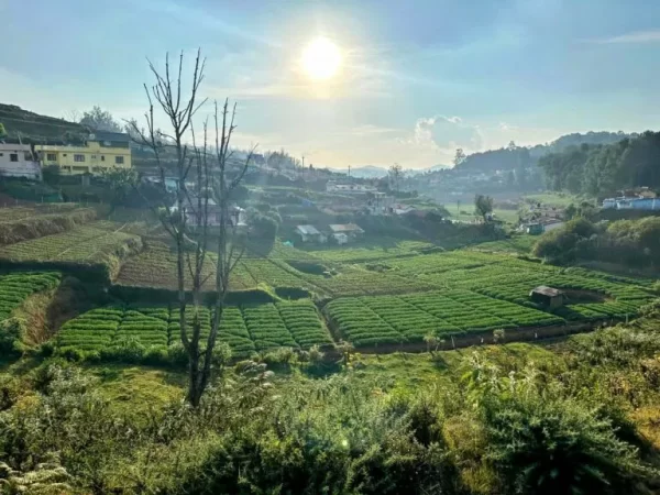 Things To Do In Ooty – 5 Day Itinerary